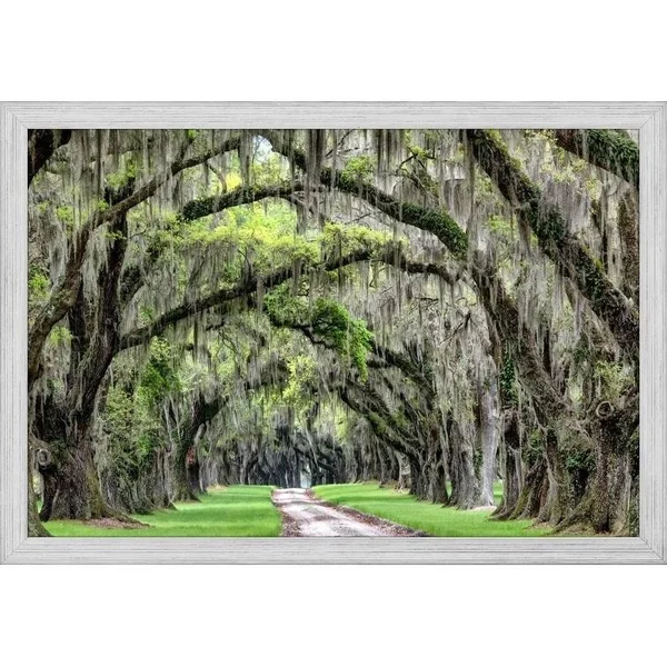 Easy Art Prints Daniel Burt's 'The Old South' Premium Canvas Art - 12 x 18 - Brazilian Barnwood Frame