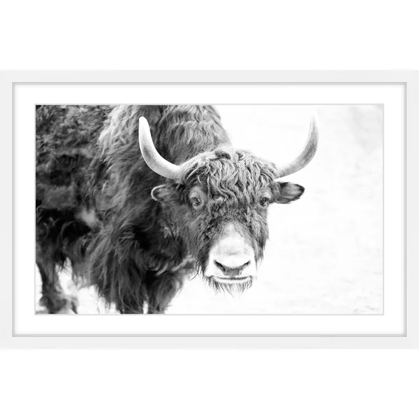 Marmont Hill Buffalo Forward Framed Painting Print - White