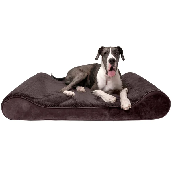 FurHaven Pet Dog Bed, Orthopedic Minky Plush & Velvet Luxe Lounger Pet Bed for Dogs & Cats (Espresso, Giant)