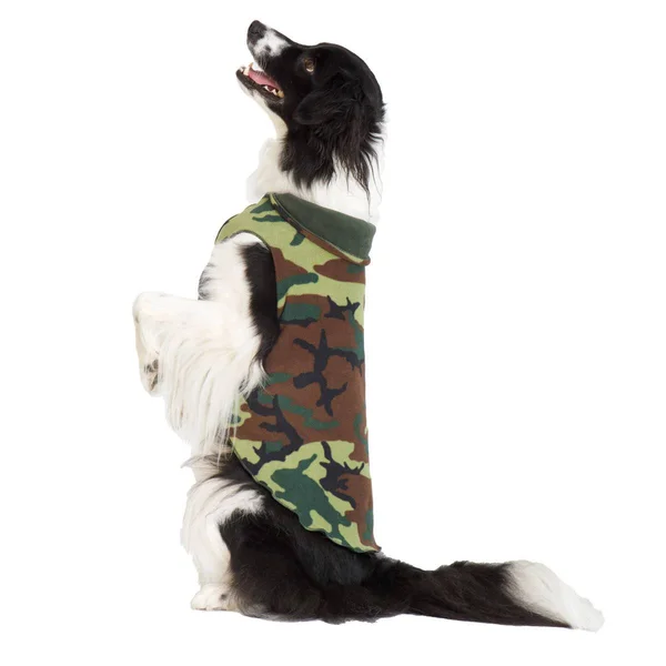 Gold Paw Double Fleece, Camo & Hunter, Size 10 DF10HAM