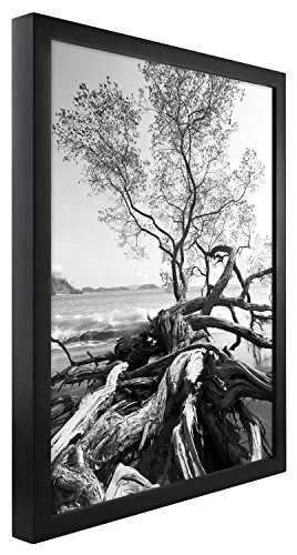 MCS 30x40 inch Art Shadow Box Frame, Black (47631)