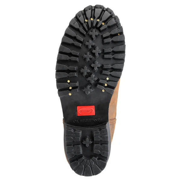 Carolina Elm 8x22 Insulated Steel Toe Logger 10 Men's Dark Brown