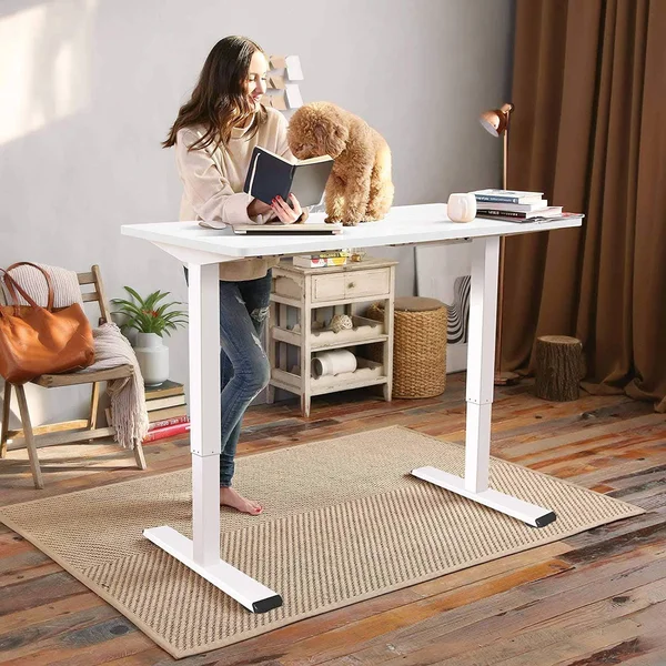 FlexiSpot EC1 Electric White Standing Desk Adjustable Height Desk - 48 x 30 Inches Whole Piece Board Sit Stand Desk Home Office W