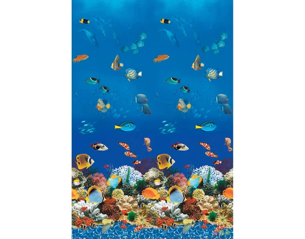 Above Ground Pool Liner Overlap Caribbean - 24& Round