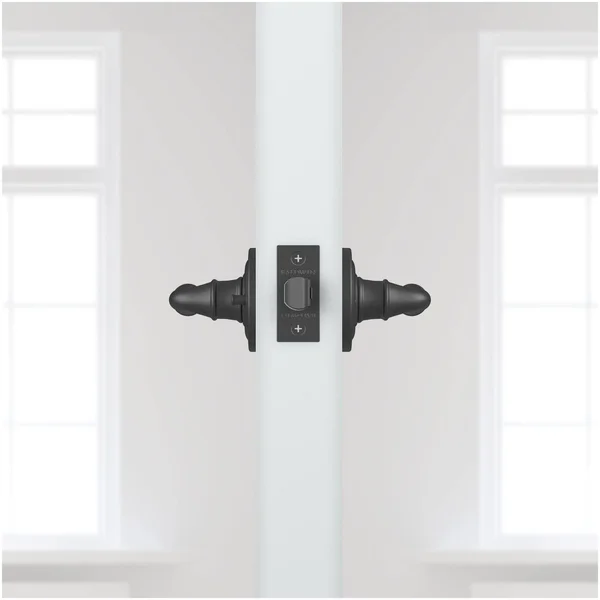 Baldwin PVFEDTRR152 Reserve Privacy Federal with Traditional Round Rose, Matte Antique Nickel Finish