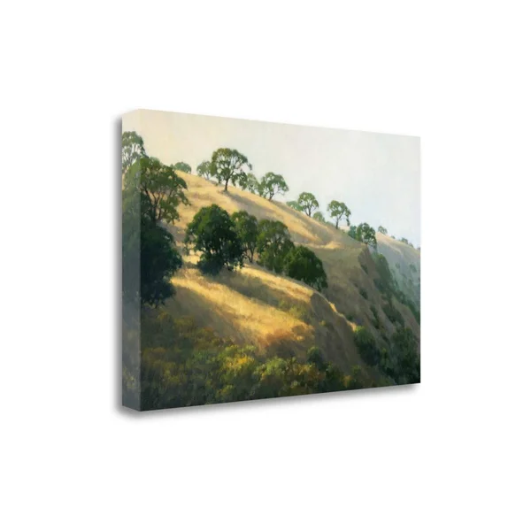 16x22 x 24x22 Afternoon Shadows by Kathy Oleary Fine Art Giclee Print