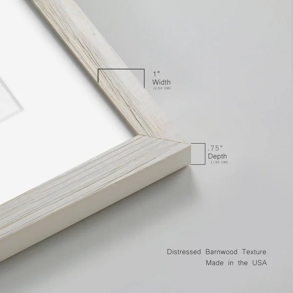 Pressed Botanical III-Premium Framed Print - Ready to Hang - 27.5X37.5 - White