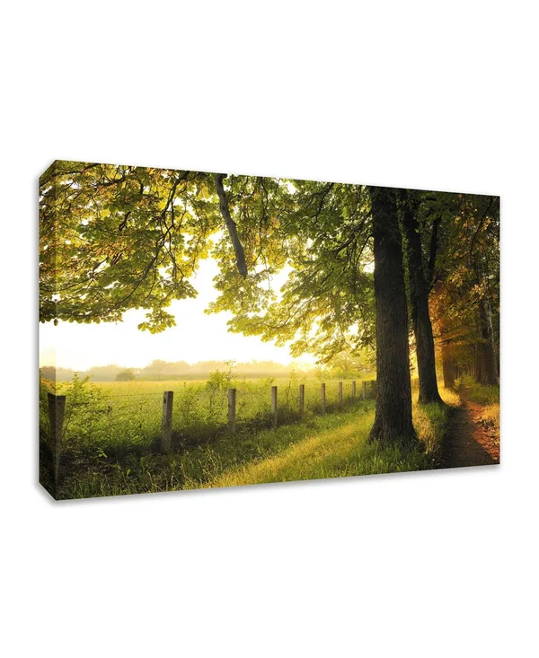 38x22 x 57x22 Fresh Morning Sun Fine Art Giclee Print