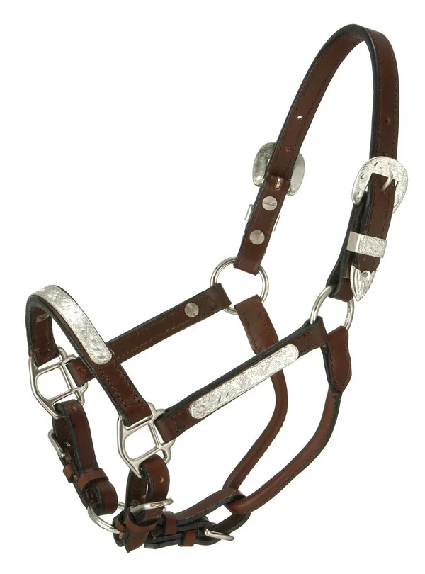 Royal King Yearling Silver Bar Show Halter