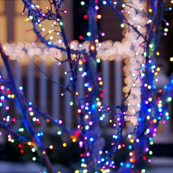 Noma LED Advanced Cluster Christmas Lights, Indoor & Outdoor String Lights with 7 Modes, 1000 Multi-Color Bulbs, 83.75 ft