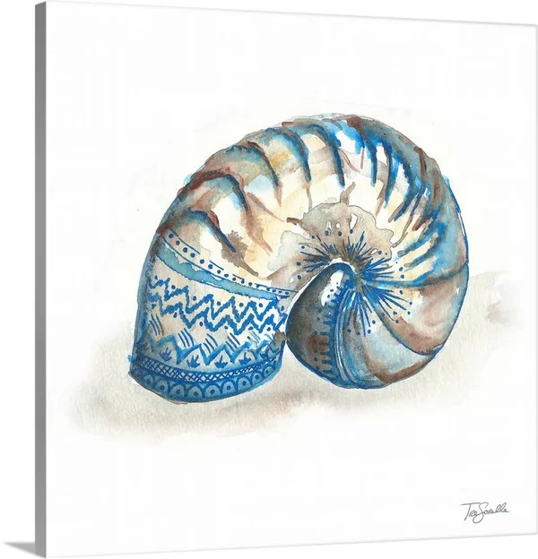 Bohemian Shells IV - Canvas Wall Art, 16x16, Great Big Canvas