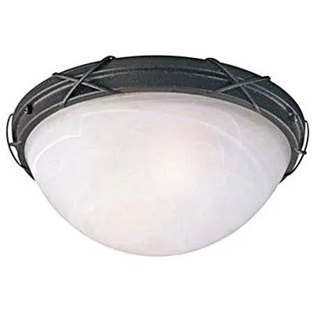 Westinghouse 69407 Indoor Outdoor Ceiling Fixture 2 Light