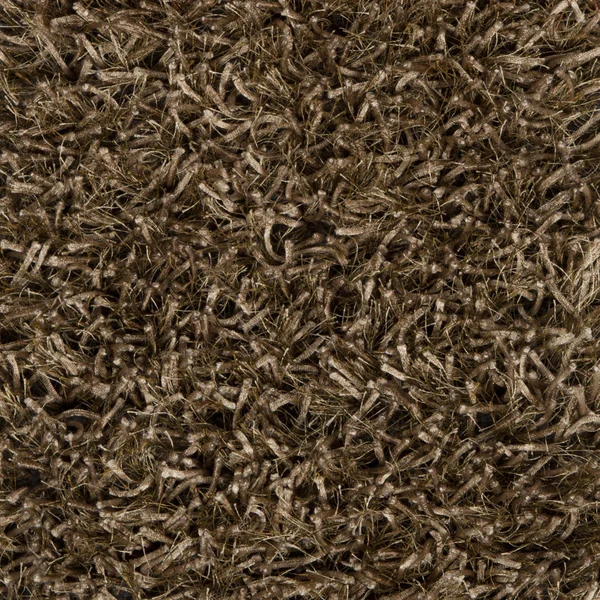 Surya Taz TAZ-1022 5'x8' Rug