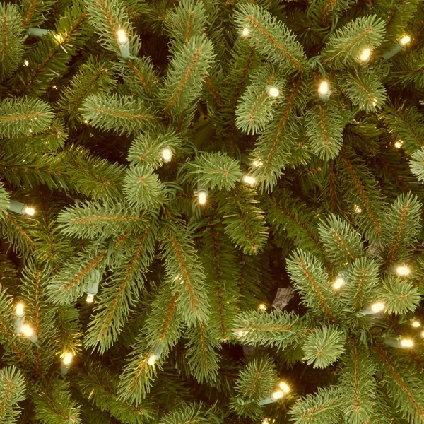 National Tree 7.5& Feel Real Jersey Fraser Fir Hinged Tree with 1250 Clear Lights