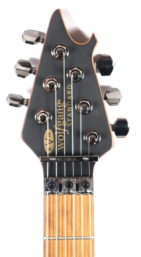 EVH Wolfgang WG Standard Exotic Spalted Maple Natural