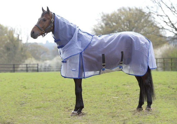 Weatherbeeta ComFiTec Ripshield Plus Detach-A-Neck Fly Sheet - White/Blue