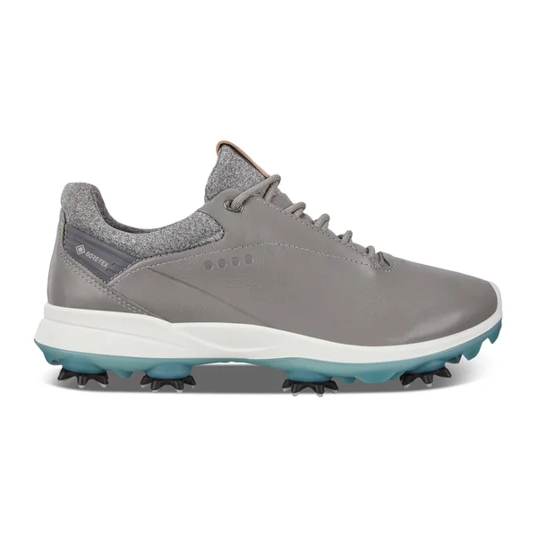 Ecco Golf Biom G 3 (Wild Dove) Women's Golf Shoes
