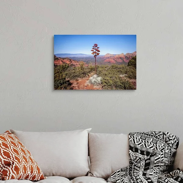 Agave Americana Flowering Stalk - Sedona, Arizona, Canvas Wall Art, 30x20, Great Big Canvas