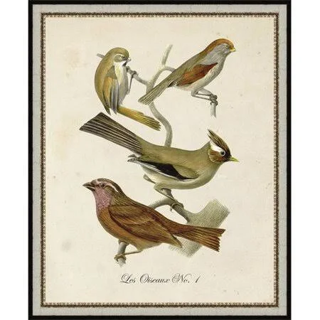 Ashton Wall D閏or Llc &French Birds I& Framed Painting Print