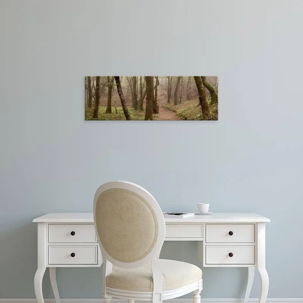 Easy Art Prints Alan Blaustein's 'Oak Tree #23' Premium Canvas Art - 12 x 36 - Brazilian Barnwood Frame