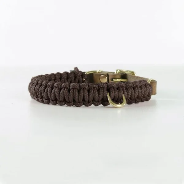 Touch of Leather Dog Collar - Chocolate XL - Brass