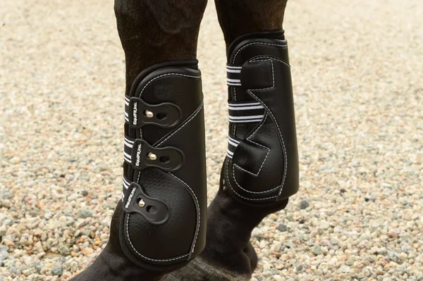 EquiFit EXP3 Front Boot with Tab Closure