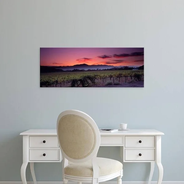 Easy Art Prints Panoramic Images's 'Vineyard at Sunset - Napa Valley, California, USA' Premium Canvas Art - 9 x 24 - Modern Black