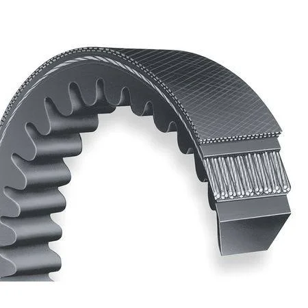 Dayton 13W533 V-Belt, Cogged, CX55