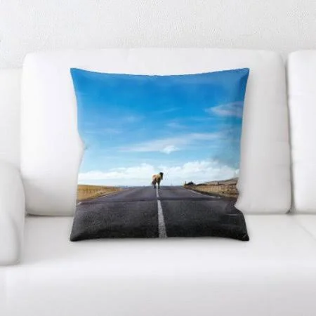 Latitude Run Jauss A Road to Many places Throw Pillow, Blue