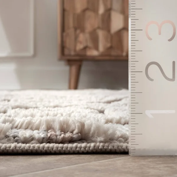 nuLOOM Deja Diamond Shag Area Rug - 7& 10x22 x 10& 10