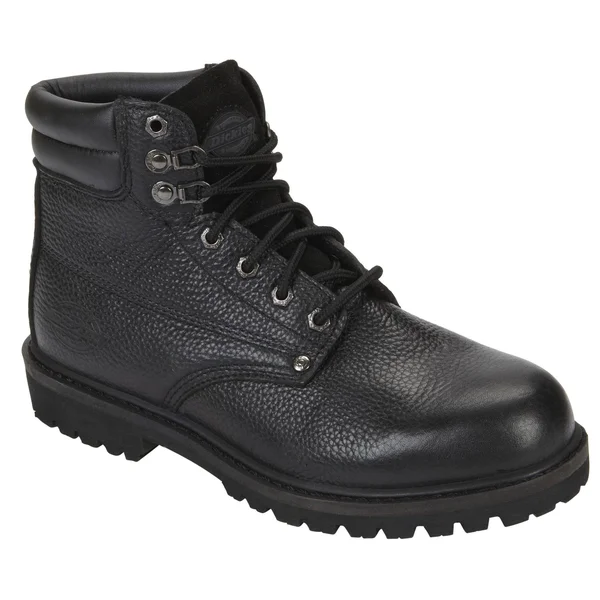 Dickies Men's Raider Work Boots Black 9 DW7015FBK9