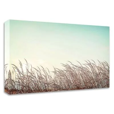 &Retro Grass& by PhotoINC Studio - Wrapped Canvas Graphic Art Print Red Barrel Studio Size: 12x22 H x 17x22 W x 1.5x22 D