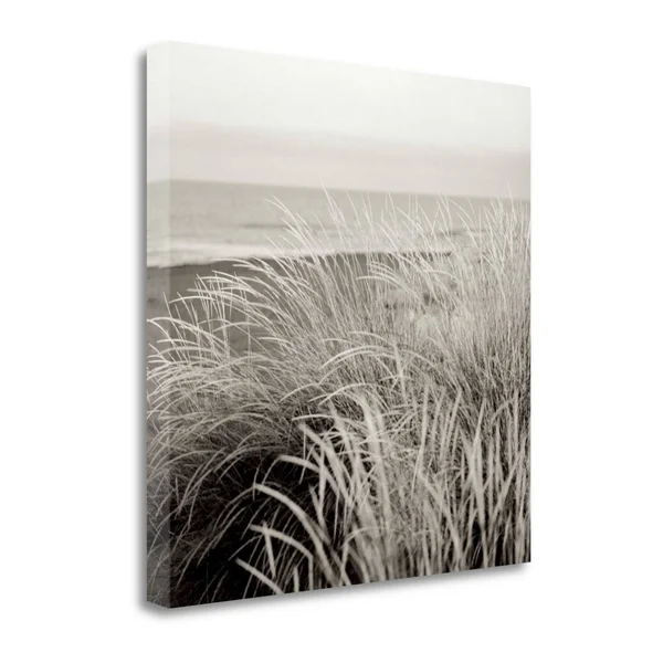 Tangletown Fine Art Tuscan Coast Dunes, 2x22 by Alan Blaustein, Giclee Print on Wrap Canvas, 30x30x22