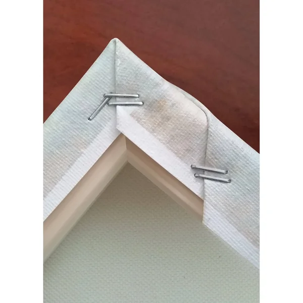 ArtWall Elena Ray &Bird Nest& Gallery-Wrapped Canvas