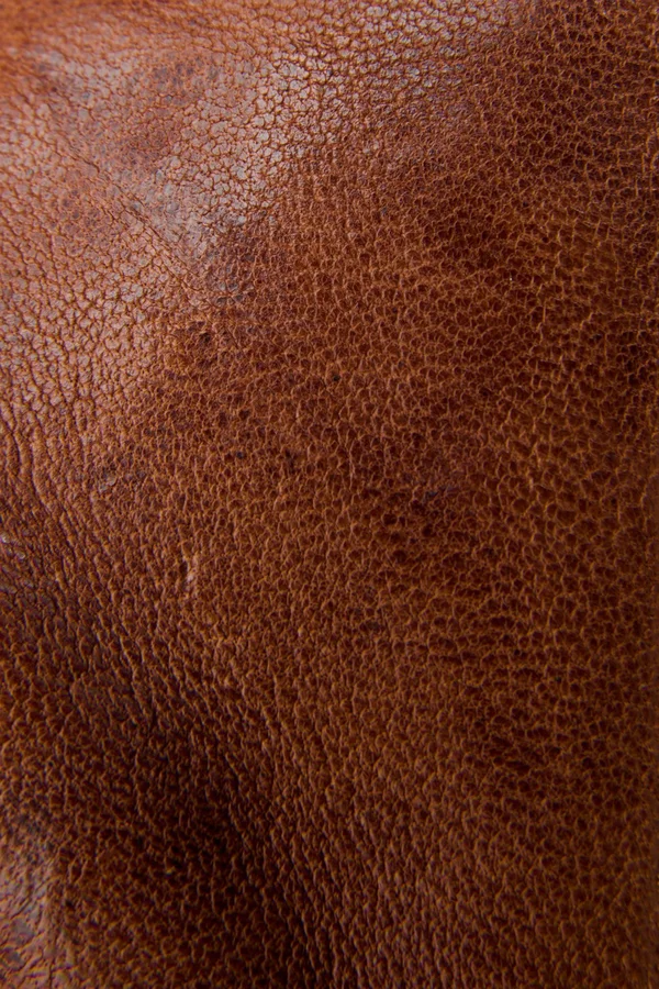 Frye Ivy Low Lace Sneakers Cognac 10