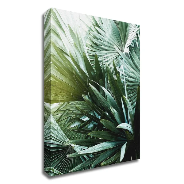 Tangletown Fine Art 30x22 x 24x22 Leaf II by Incado Print on Canvas