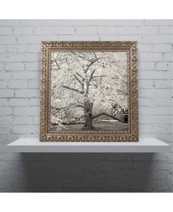 Trademark Fine Art 'Hampton Magnolia II' Canvas Art by Alan Blaustein - Gold Ornate Frame, Bronze