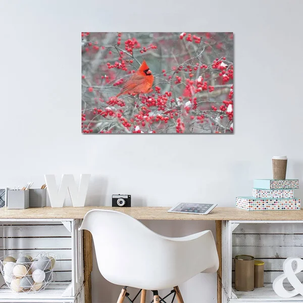 iCanvas Northern Cardinal Male in Winterberry BUSH - Marion County, Illinois Art by Richard & Susan Day Canvas Art Wall Decor