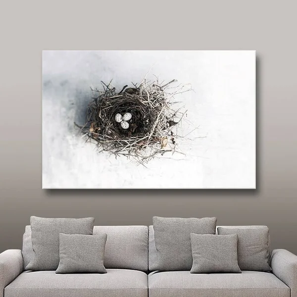 ArtWall Elena Ray &Bird Nest& Gallery-Wrapped Canvas
