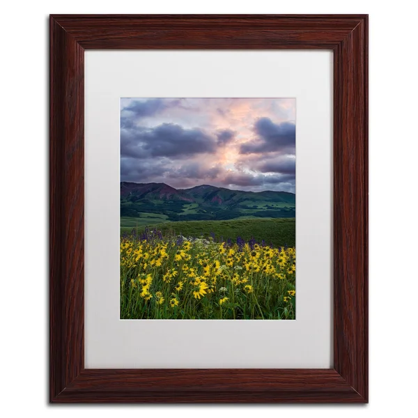 Trademark Art &Awakening& by Michael Blanchette Framed Photographic Print Size: 14x22 H x 11x22 W x 0.5x22 D - Matte Color: White