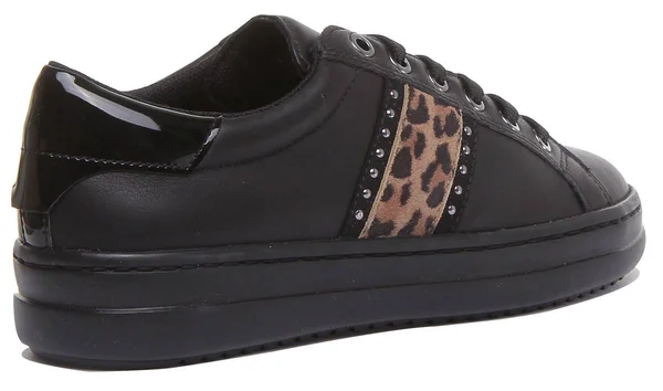 Geox D Pontoise G in Black