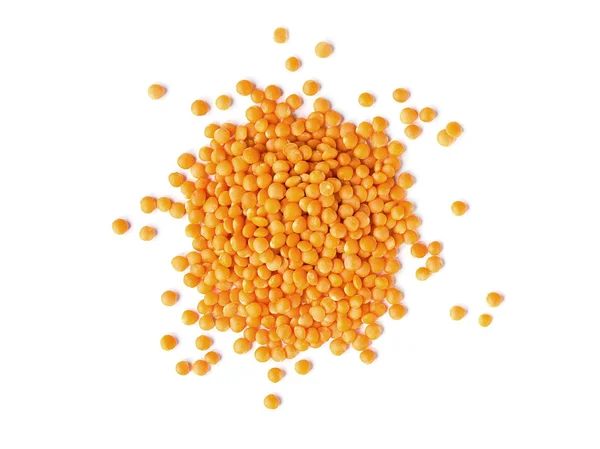 Organic Red Split Lentils - 20 Pounds - by Food to Live