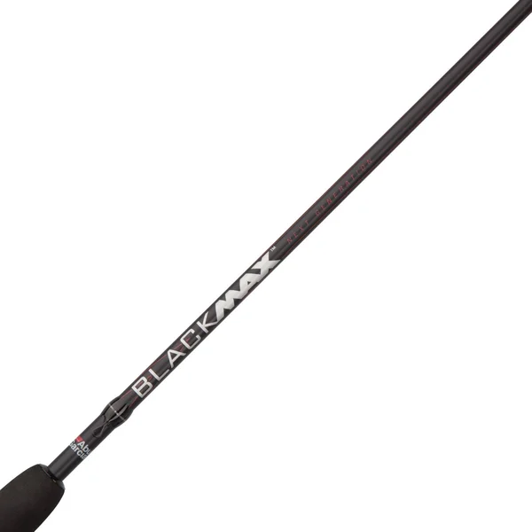 Abu Garcia Black Max Baitcast Combo
