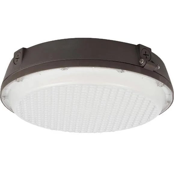 Sylvania 60412 CANOPY2A/065UNVD840/12R5/BZ