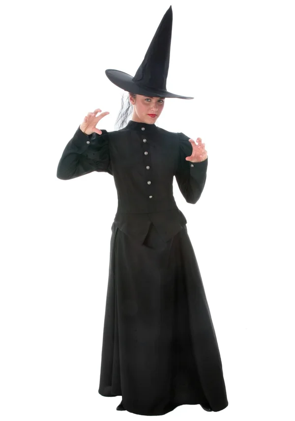 FUN Costumes Women's Plus Size Witch Costume, Black, 2X