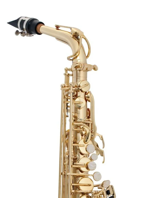 Prelude AS711 Student E-flat Alto Saxophone Outfit