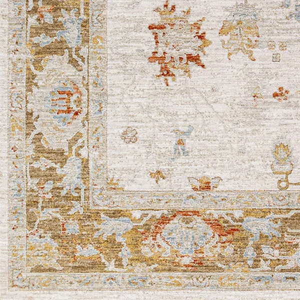 Traditional BHS-0097143 Avant GARDE Turkish Poly Runner Rug - 2&7x22 x 10&