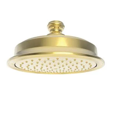Newport Brass 2142/034 Single Function Shower Head - Aged Brass