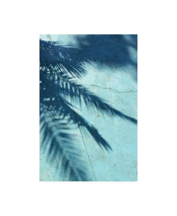 Trademark Fine Art Ic01761-C1219Gg PhotoINC Studio 'Turquoise Shadow'