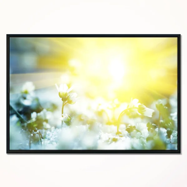 Designart 'Beautiful White Flowers at Sunrise' Large Flower Framed Canvas Wall Art - 20 in. Wide x 12 in. High